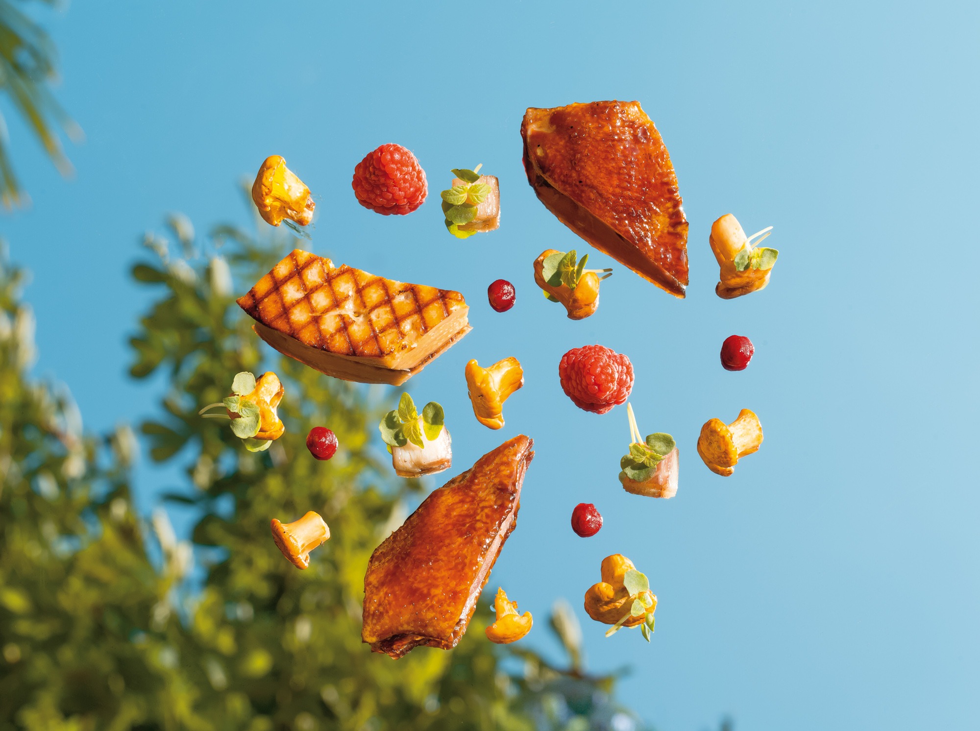 Chef Nicolas Magie *