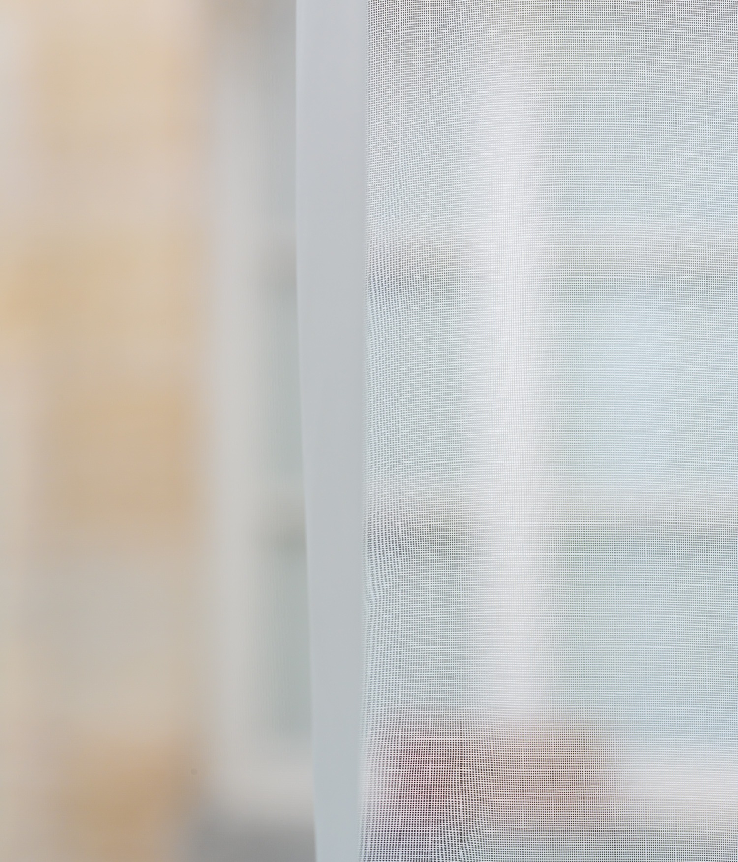 Confinement Printemps 2020 - 50 photos