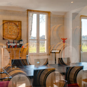 Trois châteaux en hiver