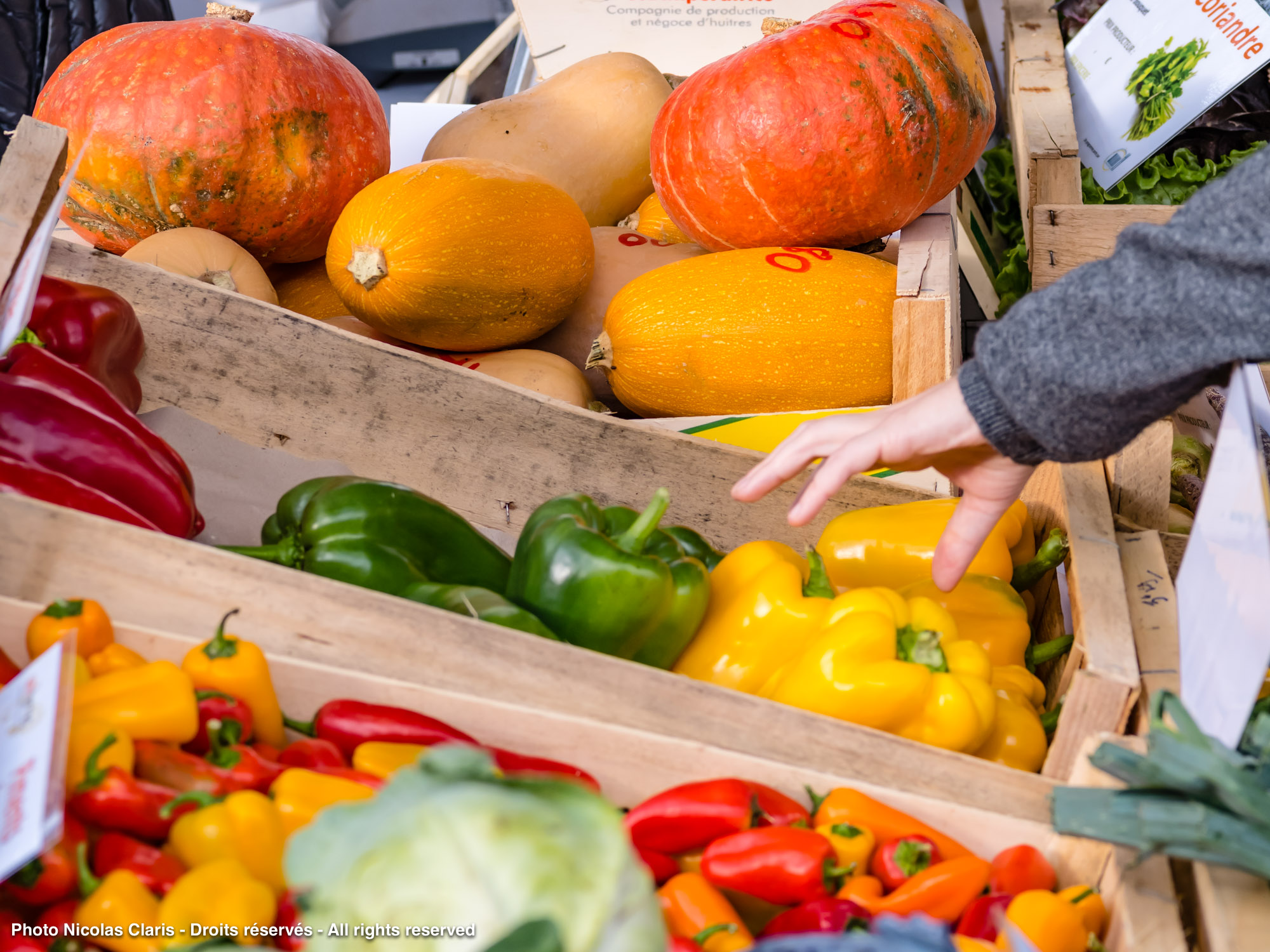 Allons au marché !